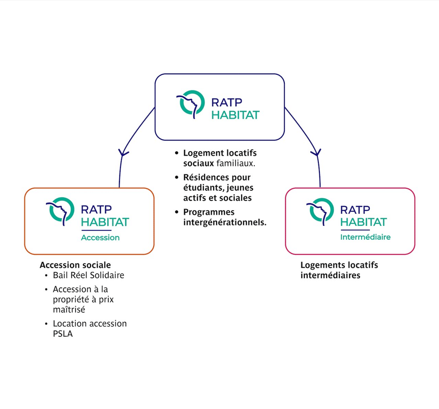 Organigramme RATP Habitat